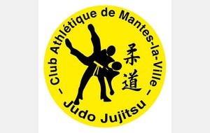 Fête du baby judo