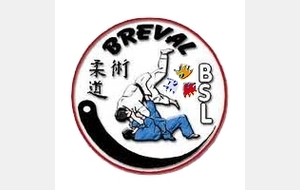 Bréval Handi judo
