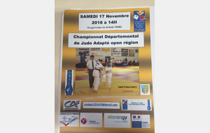 Championnat Départemental de Judo Adapté Open Region